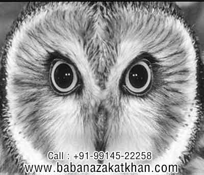 Baba Nazakat Khan Top indian Expert vashikaran specialist in Mussoorie providing best solutions of astrology Black Magic Kala Jadu Love Marriage Vashikaran Astrologers in Mussoorie uttarakhand